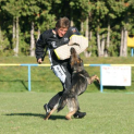 IMG-1161.jpg