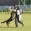 IMG-1180.jpg