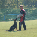 Mistrovstvi-CR-IPO---2-den-362-kopie.jpg