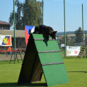 DSC-4420.JPG