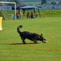 DSC-4424.JPG