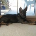 IMG-2142can.JPG