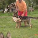 DSC04318.JPG