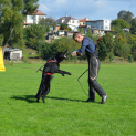 DSC-5866.JPG